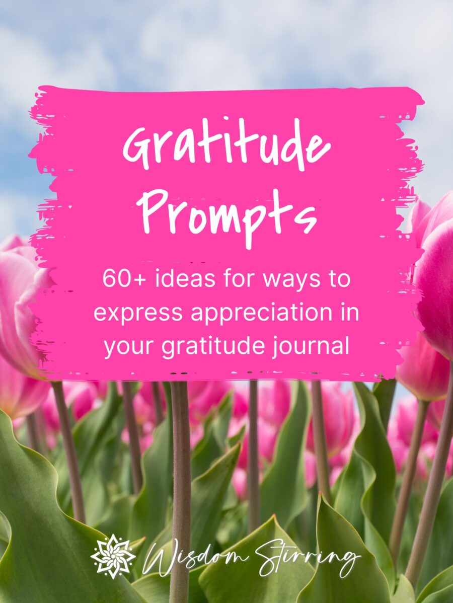 60+ Daily Gratitude Practice Ideas: Simple Ways to Cultivate ...
